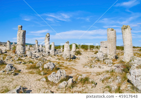 The Stone Desert 45917648