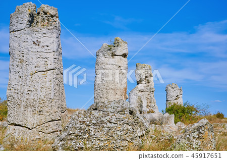 The Stone Desert 45917651