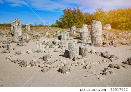 The Stone Desert 45917652