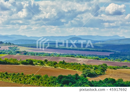 Plowed Fields 45917692