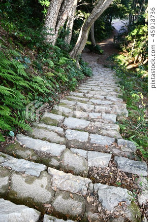 秋天米子城堡廢墟 秋天米子城堡廢墟 45918736