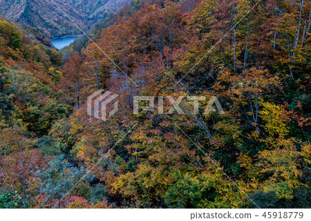 Fall of Lake Takokura Fall of Lake Takokura 45918779