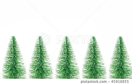 Winter trees, fir trees Conifers 45918855