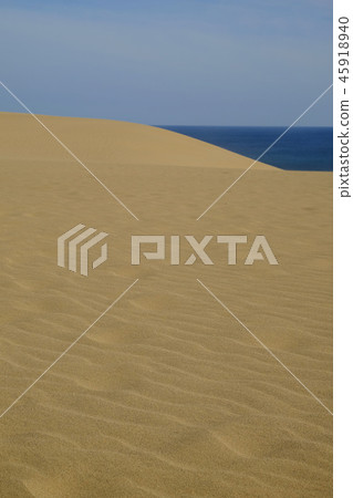 Beautiful scenery of Tottori sand dune Beautiful scenery of Tottori sand dune 45918940