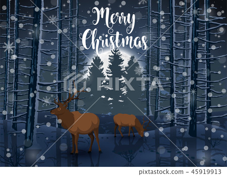 Merry Christmas winter with evening Forest Landsca Merry Christmas winter with evening Forest Landsca 45919913
