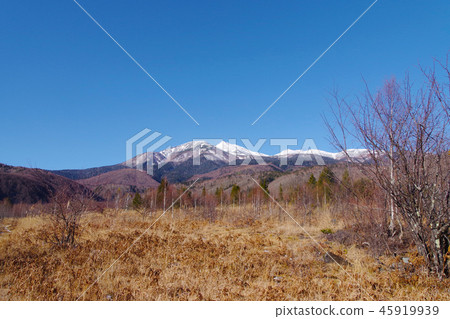 Ichinose花園 45919939