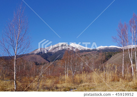 Ichinose花園 45919952