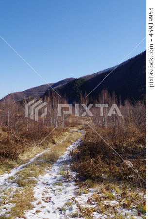 小雪之路 45919953