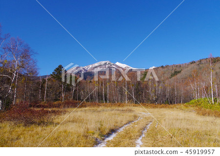 草原的路徑 45919957