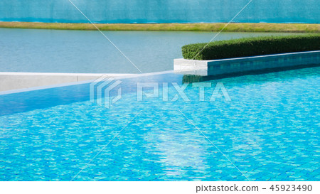 Water surface with green Shrubs. Water surface with green Shrubs. 45923490