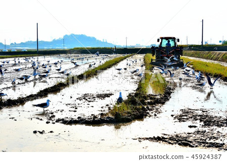 鄉村景觀 鄉村景觀 45924387