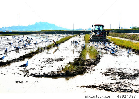 鄉村景觀 45924388