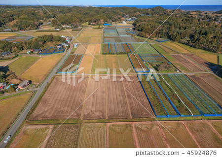 Aerial view of the vicinity of the Olympics venue Isumi city Kashiwa town 45924876