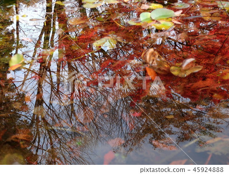 Autumn landscape 2 reflected in the water 45924888