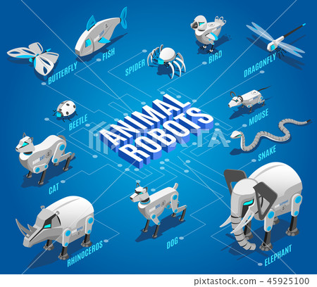 Animal Robots Isometric Flowchart 45925100
