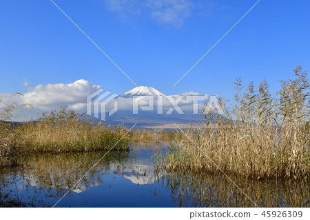 Upside-down Fuji and Kashihara on Lake Yamanaka Upside-down Fuji and Kashihara on Lake Yamanaka 45926309
