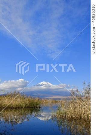 Upside-down Fuji and Kashihara on Lake Yamanaka 45926310