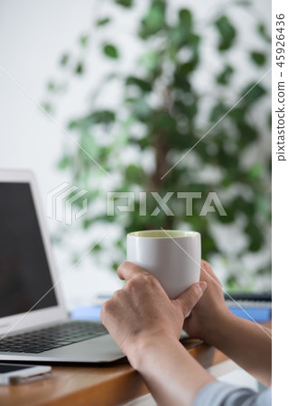 女商人書桌工作 女商人書桌工作 45926436