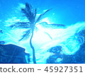 Palm trees from the water 45927351