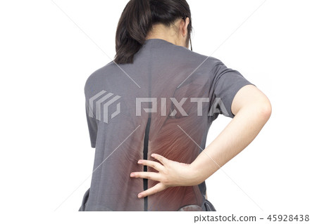 spine muscle injury spine muscle injury 45928438