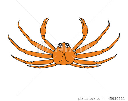 Male crab (crab) crab character upward illustration 45930211