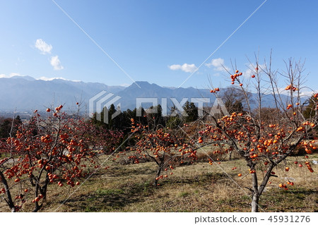 Kuwabata and Ariakezan: November Ikedacho Kita-Azumi Kuwabata and Ariakezan: November Ikedacho Kita-Azumi 45931276