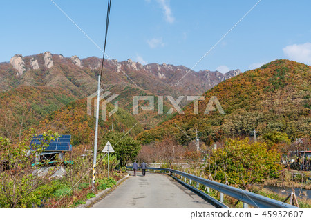 Morning landscape of serene rural Morning landscape of serene rural 45932607