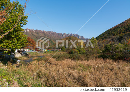 Morning landscape of serene rural Morning landscape of serene rural 45932619