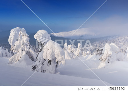 Fantastic winter landscape Fantastic winter landscape 45933192
