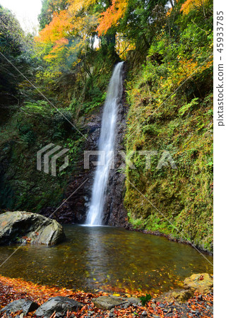 Yoro no Waterfall 45933785