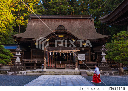 (靜岡縣)清晨的小國神社 (靜岡縣)清晨的小國神社 45934126