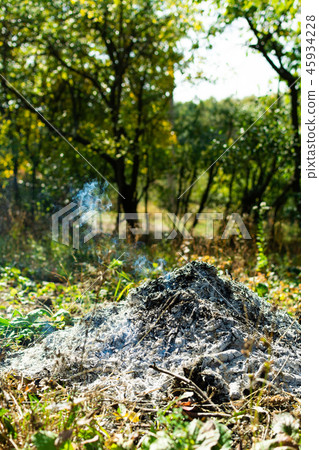 Burned bonfire in the garden 45934228