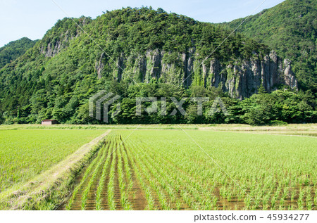 Paddy field and rocky mountain in Goka Village, Oki island town Paddy field and rocky mountain in Goka Village, Oki island town 45934277
