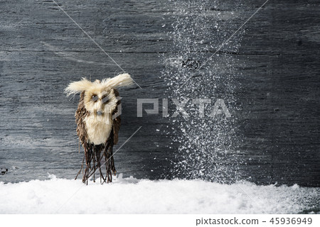owl on the snow owl on the snow 45936949