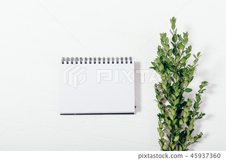 Mock-up blank notepad and green branch, top view Mock-up blank notepad and green branch, top view 45937360