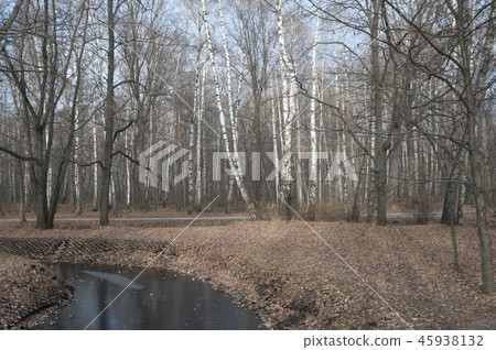 Autumn landscape with a pond 45938132
