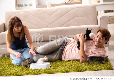 Young family with kitten playing at home 45938822