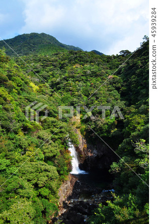 屋久島龍津瀑布 屋久島龍津瀑布 45939284