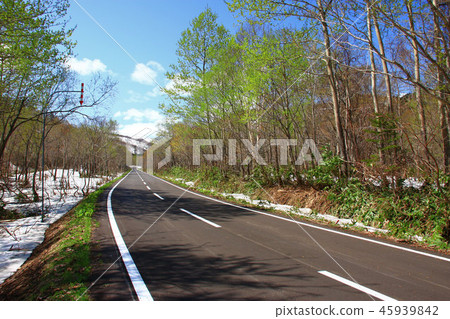 春路夏日溫泉公園線 45939842