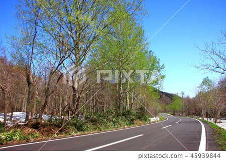 春路夏日溫泉公園線 春路夏日溫泉公園線 45939844