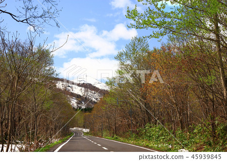 春路夏日溫泉公園線 春路夏日溫泉公園線 45939845