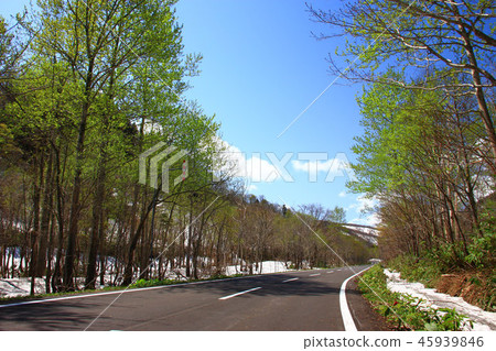 春路夏日溫泉公園線 45939846