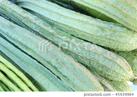 fresh luffa in market 45939964