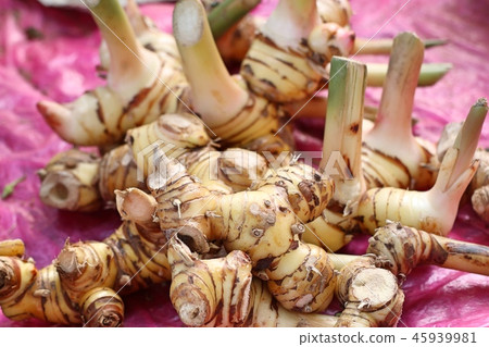 galangal at the market galangal at the market 45939981