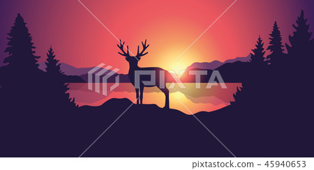 beautiful wildlife landscape with reindeer lake mountains and forest at sunset beautiful wildlife landscape with reindeer lake mountains and forest at sunset 45940653