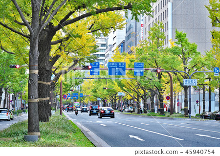 [大阪禦堂筋的銀杏樹]大阪府大阪市 45940754
