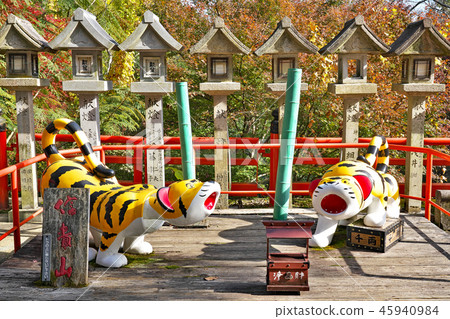 [Shikiyama Asago Saikoji Temple的老虎]奈良縣生駒郡2280 Hikiguncho 2280 45940984