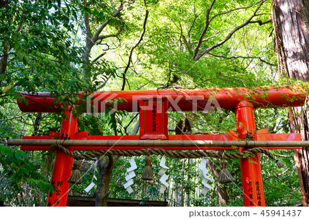Nomiya Shrine Hakufuku Inari Daimyojin (Kyoto) Nomiya Shrine Hakufuku Inari Daimyojin (Kyoto) 45941437