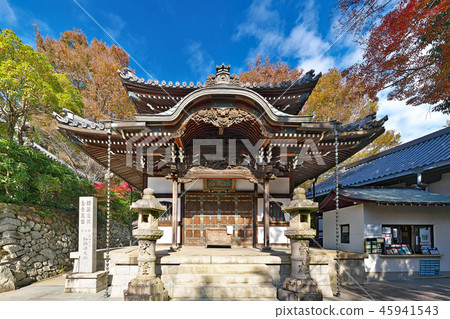 [Mt. Nobutoki Asago Sonji Kyodo] (autumn leaves) (high resolution version) 2280 Mt. 45941543