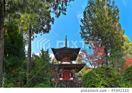 [Kumeji Tahoto] (High resolution version) Kume Town, Kashihara City, Nara Prefecture 45942128